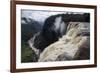 View from the Kaieteur Falls Rim into the Potaro River Gorge, Guyana, South America-Mick Baines & Maren Reichelt-Framed Photographic Print