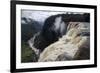 View from the Kaieteur Falls Rim into the Potaro River Gorge, Guyana, South America-Mick Baines & Maren Reichelt-Framed Photographic Print