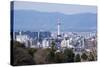 View from the Kiyomizu-Dera Buddhist Temple, Kyoto, Japan, Asia-Michael Runkel-Stretched Canvas