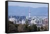View from the Kiyomizu-Dera Buddhist Temple, Kyoto, Japan, Asia-Michael Runkel-Framed Stretched Canvas