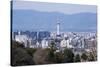 View from the Kiyomizu-Dera Buddhist Temple, Kyoto, Japan, Asia-Michael Runkel-Stretched Canvas