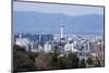 View from the Kiyomizu-Dera Buddhist Temple, Kyoto, Japan, Asia-Michael Runkel-Mounted Photographic Print