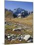 view from the Lac de Fenetre, Grand Golliat, Val Ferret, Valais, Switzerland-Michael Jaeschke-Mounted Photographic Print