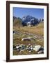 view from the Lac de Fenetre, Grand Golliat, Val Ferret, Valais, Switzerland-Michael Jaeschke-Framed Photographic Print