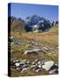 view from the Lac de Fenetre, Grand Golliat, Val Ferret, Valais, Switzerland-Michael Jaeschke-Stretched Canvas