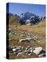 view from the Lac de Fenetre, Grand Golliat, Val Ferret, Valais, Switzerland-Michael Jaeschke-Stretched Canvas