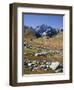 view from the Lac de Fenetre, Grand Golliat, Val Ferret, Valais, Switzerland-Michael Jaeschke-Framed Photographic Print