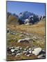 view from the Lac de Fenetre, Grand Golliat, Val Ferret, Valais, Switzerland-Michael Jaeschke-Mounted Photographic Print