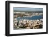 View from the Mirador Del Rei Jaume I, Ibiza Castle, Old Town-Emanuele Ciccomartino-Framed Photographic Print