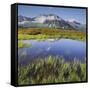 View from the Oberberg on the Pfitsch Valley, Rotes Beil, Alpenrose, South Tyrol, Italy-Rainer Mirau-Framed Stretched Canvas