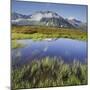 View from the Oberberg on the Pfitsch Valley, Rotes Beil, Alpenrose, South Tyrol, Italy-Rainer Mirau-Mounted Photographic Print