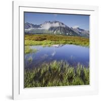 View from the Oberberg on the Pfitsch Valley, Rotes Beil, Alpenrose, South Tyrol, Italy-Rainer Mirau-Framed Photographic Print