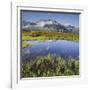 View from the Oberberg on the Pfitsch Valley, Rotes Beil, Alpenrose, South Tyrol, Italy-Rainer Mirau-Framed Photographic Print