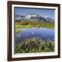 View from the Oberberg on the Pfitsch Valley, Rotes Beil, Alpenrose, South Tyrol, Italy-Rainer Mirau-Framed Photographic Print