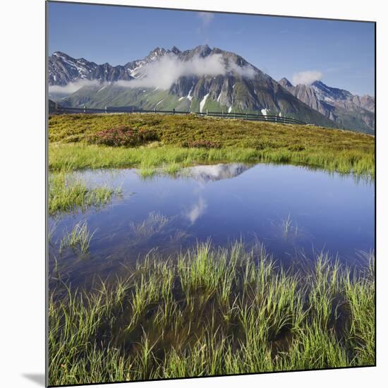 View from the Oberberg on the Pfitsch Valley, Rotes Beil, Alpenrose, South Tyrol, Italy-Rainer Mirau-Mounted Photographic Print