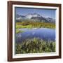 View from the Oberberg on the Pfitsch Valley, Rotes Beil, Alpenrose, South Tyrol, Italy-Rainer Mirau-Framed Photographic Print