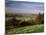 View from the Pegston Hills, of Hertfordshire and Bedfordshire, UK-David Hughes-Mounted Photographic Print