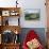 View from the Piano Grande Towards Castelluccio, Umbria, Italy, Europe-Jean Brooks-Stretched Canvas displayed on a wall