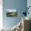 View from the Piano Grande Towards Castelluccio, Umbria, Italy, Europe-Jean Brooks-Mounted Photographic Print displayed on a wall