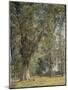 View from the Prater in Vienna (With Tree at Left)-Ferdinand Georg Waldmüller-Mounted Giclee Print