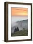 view from the Schauinsland over the Rhine plain at fog, Black Forest, Baden-Wurttemberg, Germany-Markus Lange-Framed Photographic Print