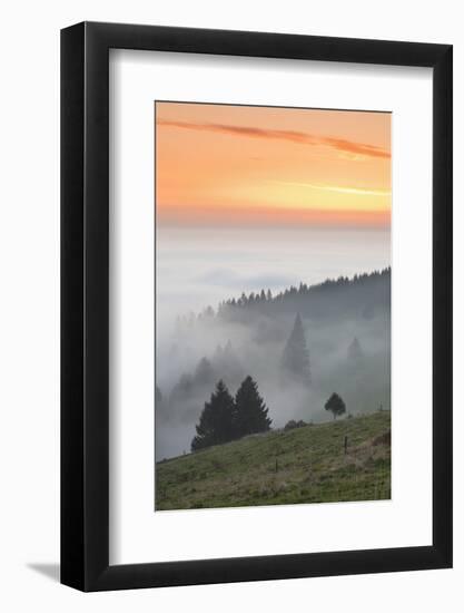 view from the Schauinsland over the Rhine plain at fog, Black Forest, Baden-Wurttemberg, Germany-Markus Lange-Framed Photographic Print