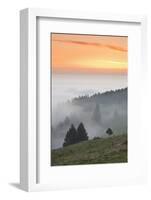 view from the Schauinsland over the Rhine plain at fog, Black Forest, Baden-Wurttemberg, Germany-Markus Lange-Framed Photographic Print