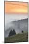 view from the Schauinsland over the Rhine plain at fog, Black Forest, Baden-Wurttemberg, Germany-Markus Lange-Mounted Photographic Print