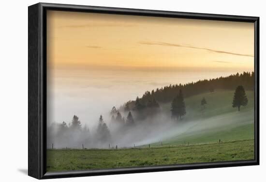 view from the Schauinsland over the Rhine plain at fog, Black Forest, Baden-Wurttemberg, Germany-Markus Lange-Framed Photographic Print