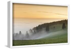 view from the Schauinsland over the Rhine plain at fog, Black Forest, Baden-Wurttemberg, Germany-Markus Lange-Framed Photographic Print