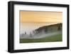 view from the Schauinsland over the Rhine plain at fog, Black Forest, Baden-Wurttemberg, Germany-Markus Lange-Framed Photographic Print