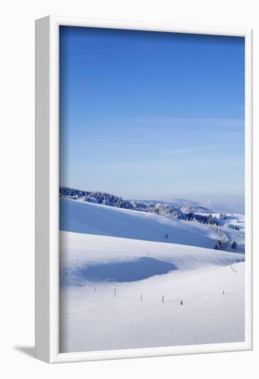 view from the Schauinsland towards Rhine plain, Black Forest, Baden-Wurttemberg, Germany-Markus Lange-Framed Photographic Print