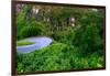 View from the Stalheim Hotel near Gudvangen on the Road to Voss. the Hotel is on a Beautiful Locati-Stefano Amantini-Framed Photographic Print