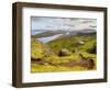 View from The Storr towards the Loch Leathan, Isle of Skye, Inner Hebrides, Scotland, United Kingdo-Karol Kozlowski-Framed Photographic Print