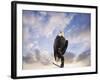 View from the Top Bald Eagle-Jai Johnson-Framed Premium Giclee Print