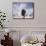 View from the Top Bald Eagle-Jai Johnson-Mounted Giclee Print displayed on a wall