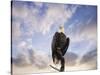 View from the Top Bald Eagle-Jai Johnson-Stretched Canvas