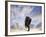 View from the Top Bald Eagle-Jai Johnson-Framed Giclee Print