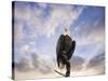 View from the Top Bald Eagle-Jai Johnson-Stretched Canvas