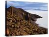 View from the Top of Isla De Pescado across the Salar De Uyuni, the Largest Salt Flat in the World-John Warburton-lee-Stretched Canvas