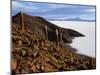 View from the Top of Isla De Pescado across the Salar De Uyuni, the Largest Salt Flat in the World-John Warburton-lee-Mounted Photographic Print