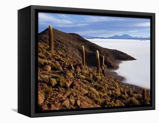 View from the Top of Isla De Pescado across the Salar De Uyuni, the Largest Salt Flat in the World-John Warburton-lee-Framed Stretched Canvas