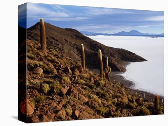 View from the Top of Isla De Pescado across the Salar De Uyuni, the Largest Salt Flat in the World-John Warburton-lee-Stretched Canvas