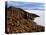 View from the Top of Isla De Pescado across the Salar De Uyuni, the Largest Salt Flat in the World-John Warburton-lee-Stretched Canvas