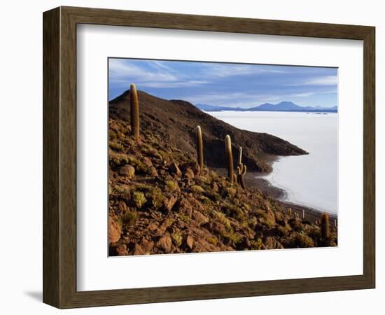 View from the Top of Isla De Pescado across the Salar De Uyuni, the Largest Salt Flat in the World-John Warburton-lee-Framed Photographic Print