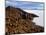 View from the Top of Isla De Pescado across the Salar De Uyuni, the Largest Salt Flat in the World-John Warburton-lee-Mounted Photographic Print