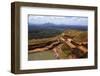 View from the Top of the Rock Fortress, Sigiriya, Sri Lanka, 20th century-CM Dixon-Framed Photographic Print