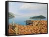 View From The Top Of The World-kirilstanchev-Framed Stretched Canvas