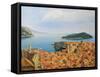 View From The Top Of The World-kirilstanchev-Framed Stretched Canvas