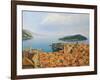 View From The Top Of The World-kirilstanchev-Framed Art Print